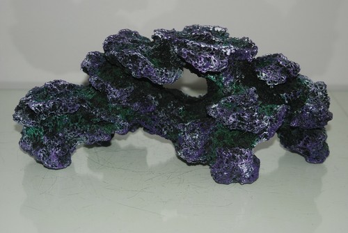Stunning aquarium large - stunning, coral
