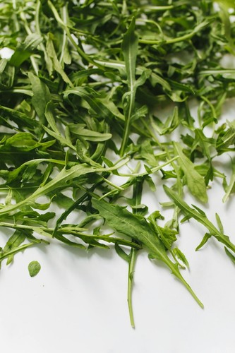 Rocket salad plug plants grow - salad, "grow