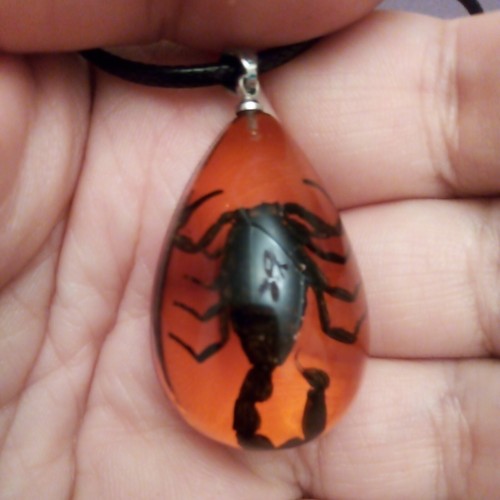 Natural rare black scorpion - black,