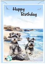 Miniature schnauzer dog - miniature,