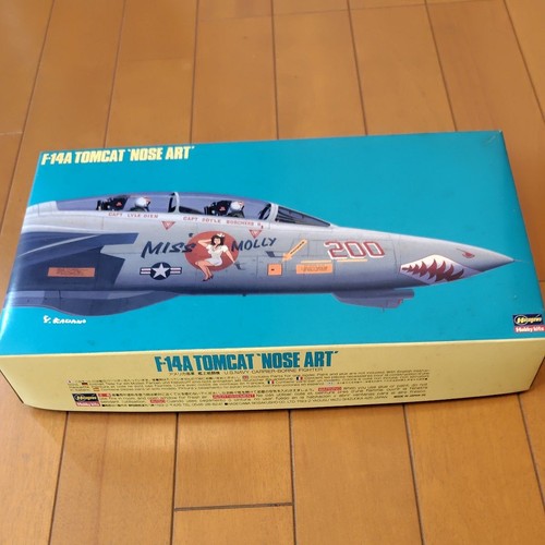 Hasegawa 14a tomcat - hasegawa, f-14a