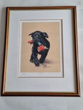 Black Labrador Signed  Limited