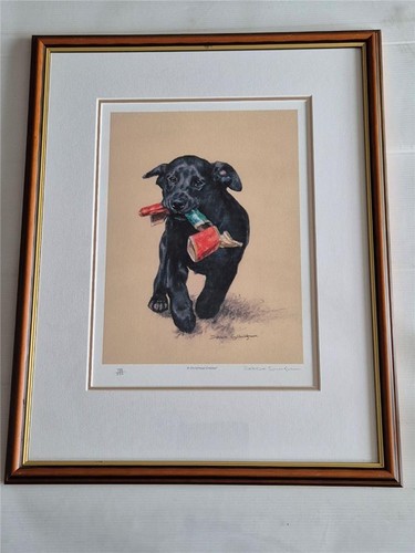 Black labrador signed limited - signed,