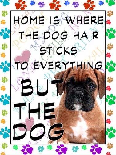 Boxer dog fridge magnet - ,, 100mm