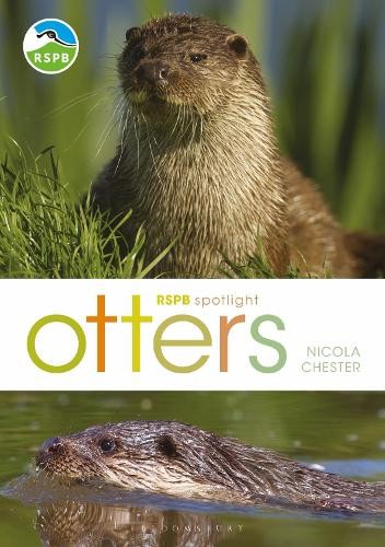Rspb spotlight otters by - rspb, spotlight: