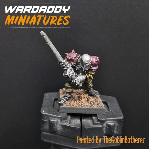 Pro painted warhammer - pro,