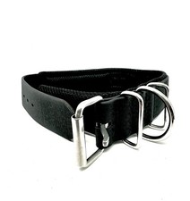 Waterproof Dog Collar |