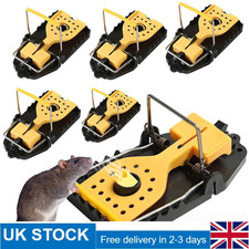 4-12 MOUSE TRAPS - SPRING SNAP