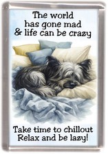 Skye Terrier Dog Fridge Magnet