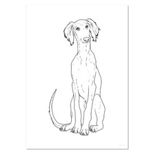 'Saluki Puppy' Wall Posters /