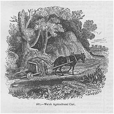 A Welsh Agricultural Cart -