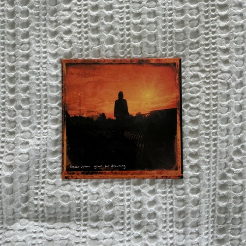 Steven wilson grace for - -,