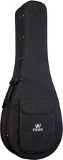 5 STRING BANJO CASE, Foam