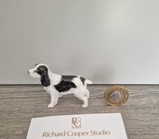 🐶 Richard Cooper Studio