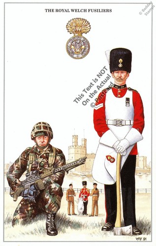 The royal welch fusiliers - the,