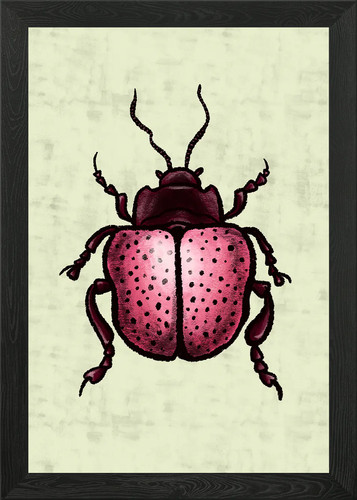 Pink beetle with - pink,