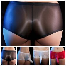 Mens Sexy Underpants Sheer Bulge Pouch Underwear Lingerie Ice Silk Knickers