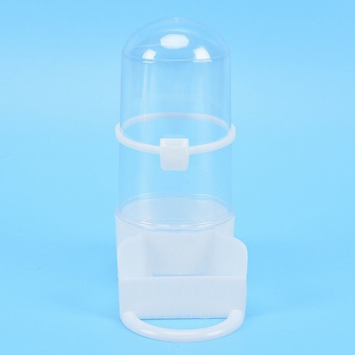 Bird pet drinker feeder - pet,