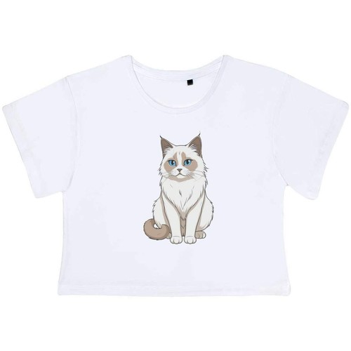 Birman cat adult cotton crop - 'birman,