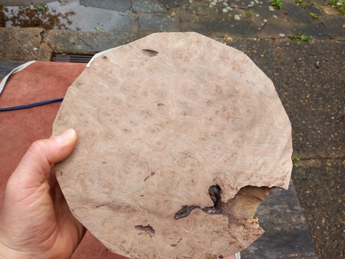 Indonesian ebony burl bowl - indonesian,