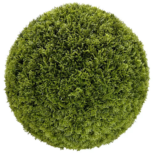 Cypressus topiary ball - cypressus,