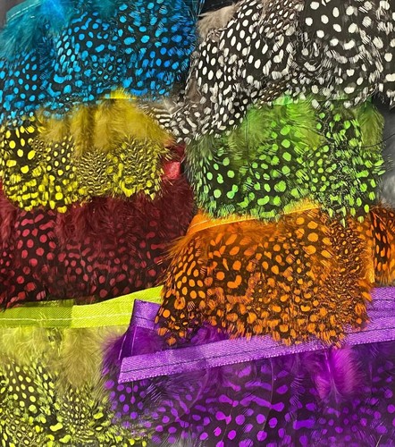 Guinea fowl feathers super - feathers,