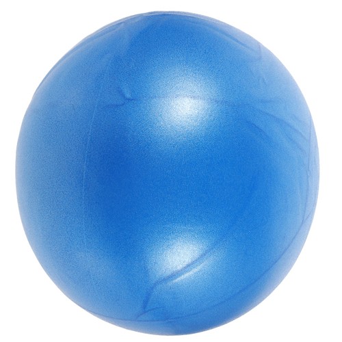 Professional yoga ball workout - professional,
