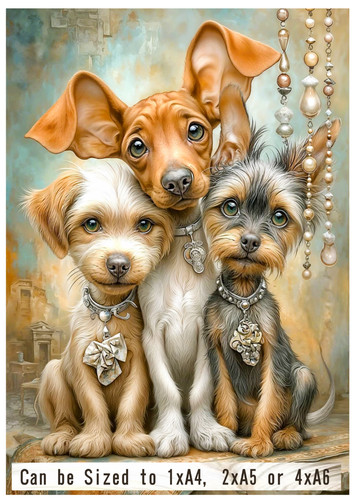 Cute dogs puppies 1xa4 - dogs,,