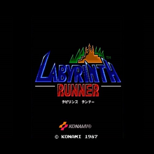 Used labyrinth runner - used,