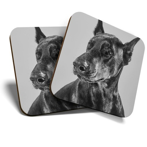 Coasters doberman - coasters,