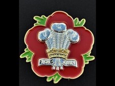 Royal regiment Of Wales  (