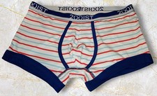 Trunks mens Underwear 2(X)IST