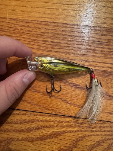 Koppers live target bait - koppers,
