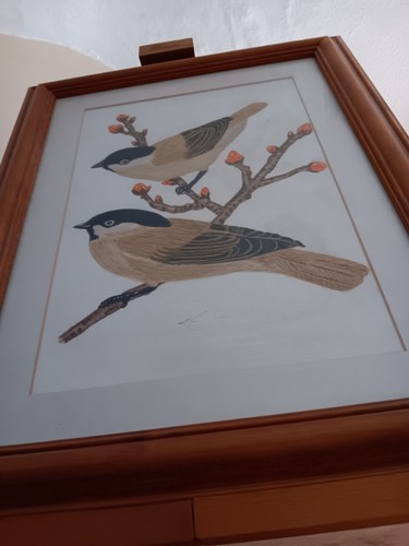 Same but different bird - same,
