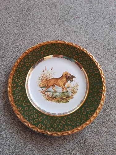 Weatherby royal falcon dog - weatherby,
