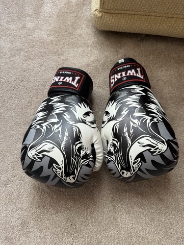 Boxing gloves twins - boxing, special