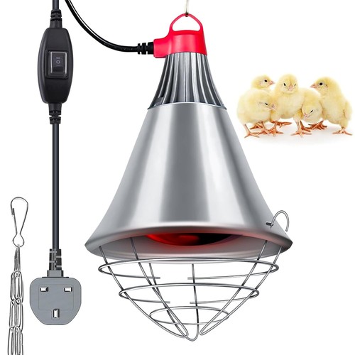 Poultry heat lamp - heat, 250w