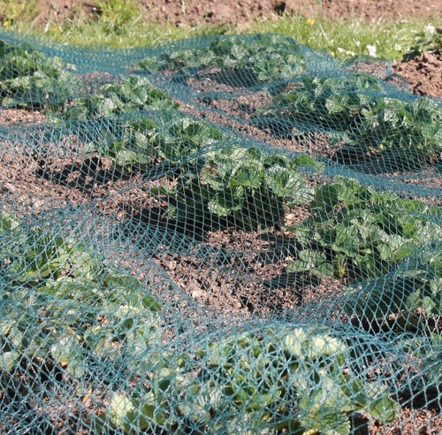 Green bird netting garden - green,