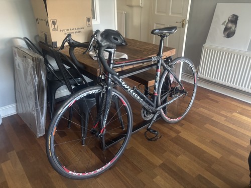Wilier triestina - triestina,