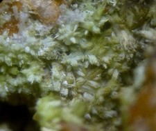 NICE PYROMORPHITE CRYSTALS -