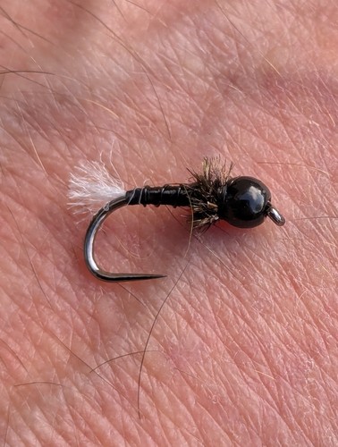 Stillwater zebra midge - zebra,