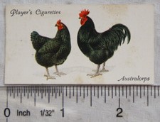 1931 John Player & Sons