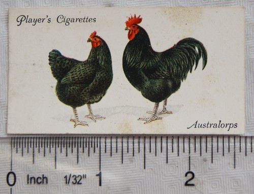 1931 john player sons - 1931,