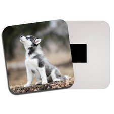 Husky Puppy Fridge Magnet -