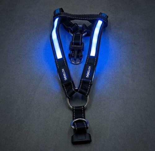 Hotdog neon led dog harness - hotdog,