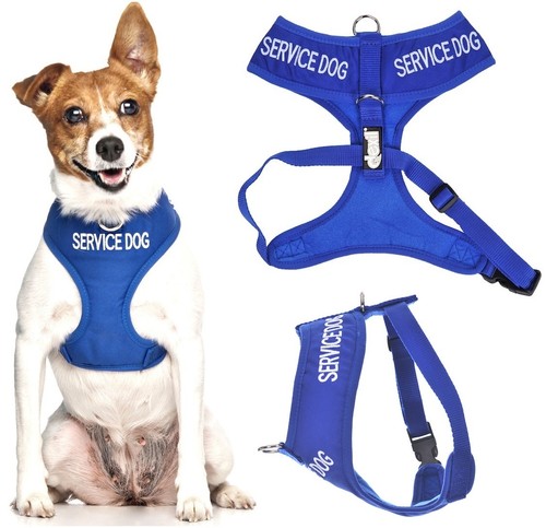 Padded waterproof soft vest - padded,