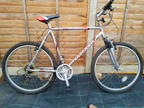 Men mountain bike - men's,