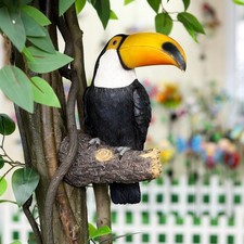 Realistic Toucan Bird Statue