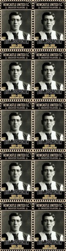Bill mccracken newcastle - bill,