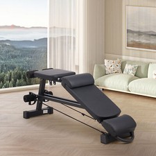 Fitness Workout Sport Roman